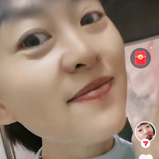 单身燕子