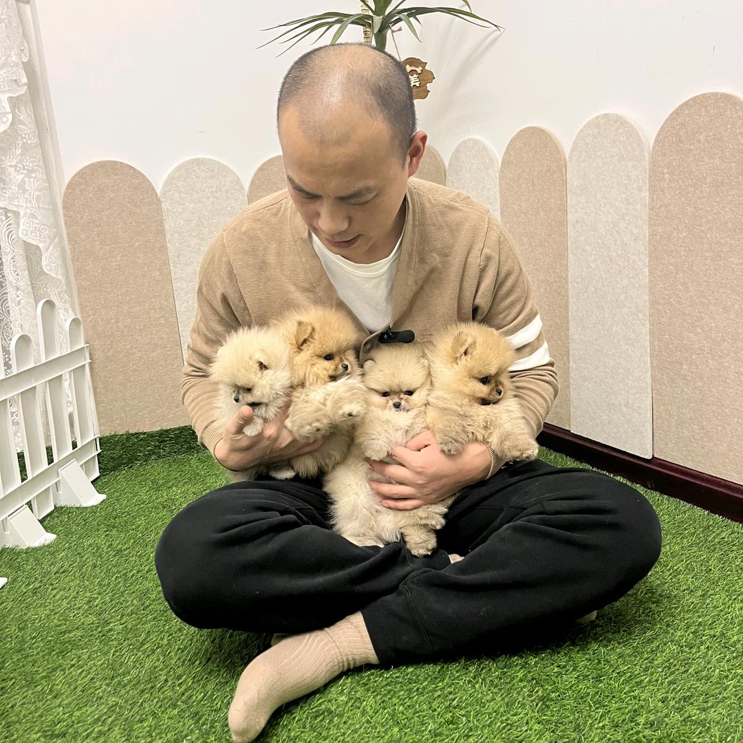 徐州犬志强