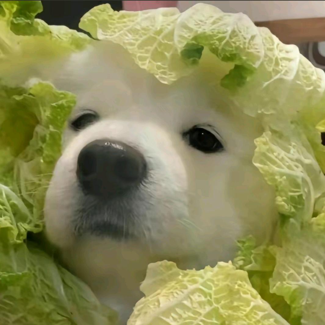 八月七肥宅箱