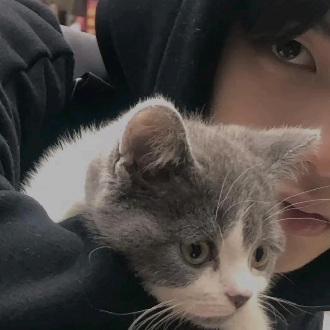 街（见过陶喆一次版）