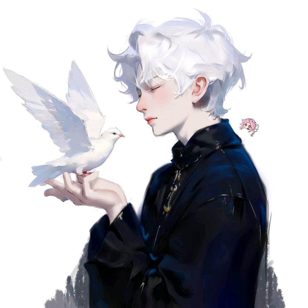 咕咕咕🕊️（正在放鸽子）