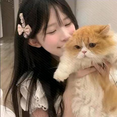 江晚吟