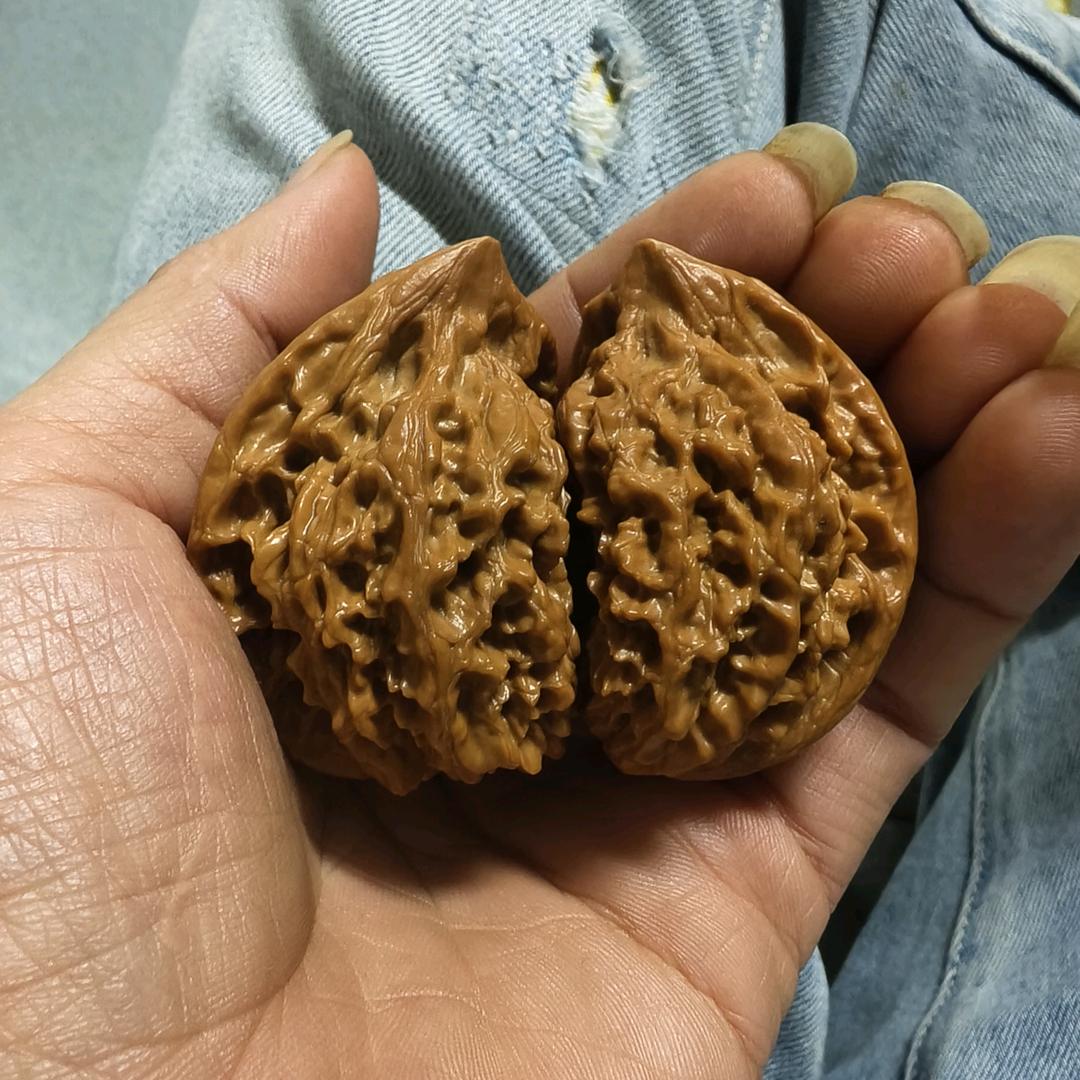 ℳ沉默꧔ꦿ👨‍👩‍👦‍👦《封票》