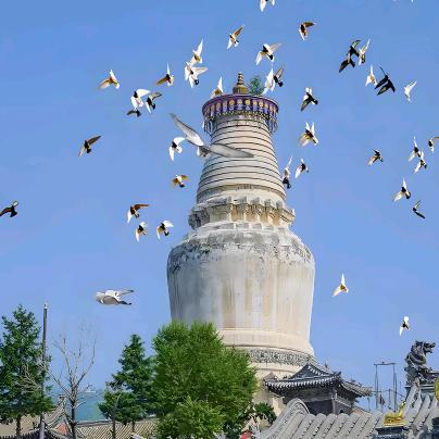 🈚台山释义