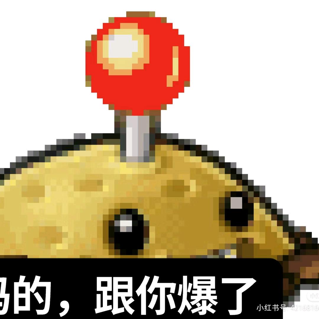 儒雅随和土豆雷