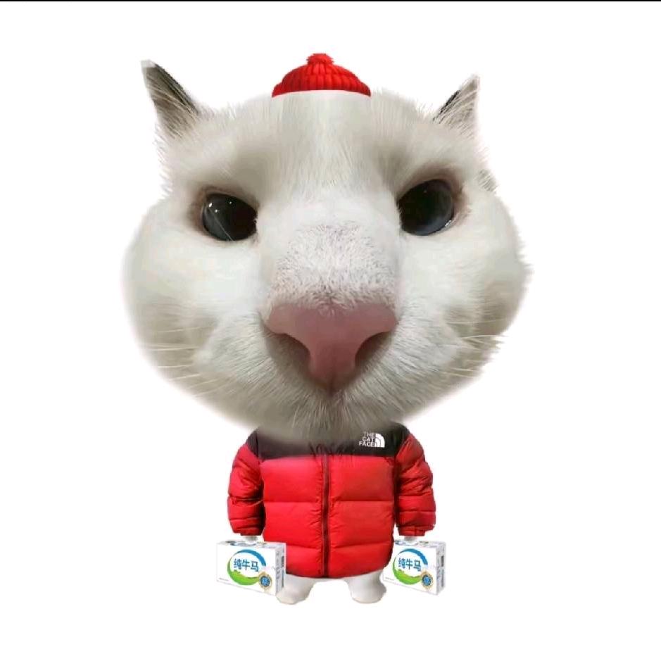 …。。。…