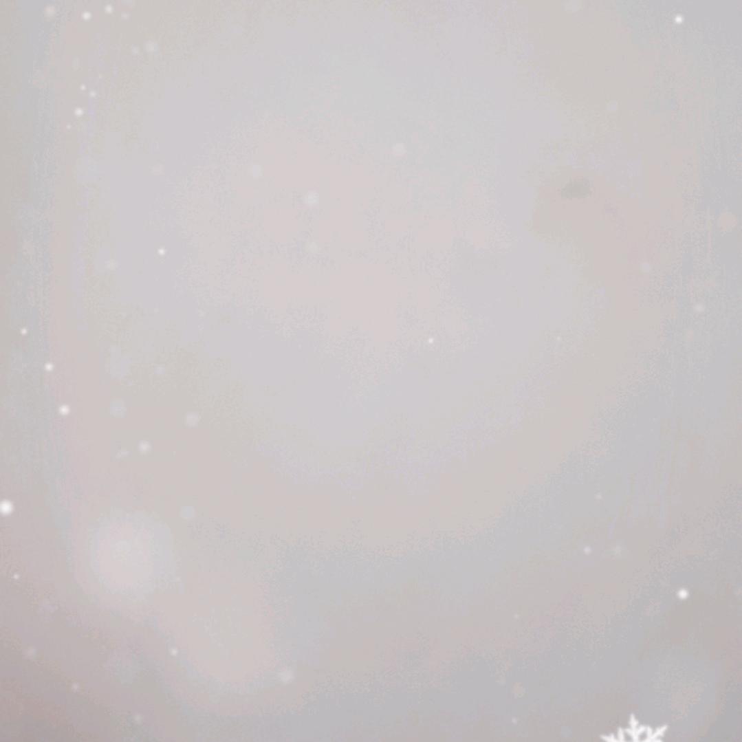 牛油果