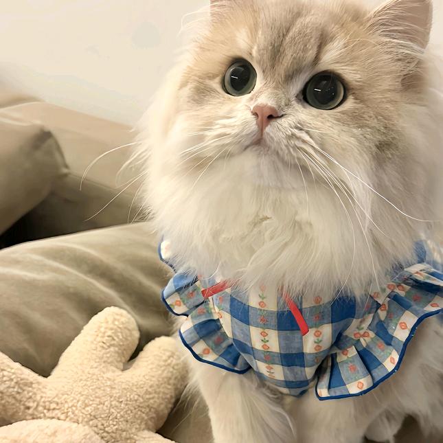 招财猫的小铃铛