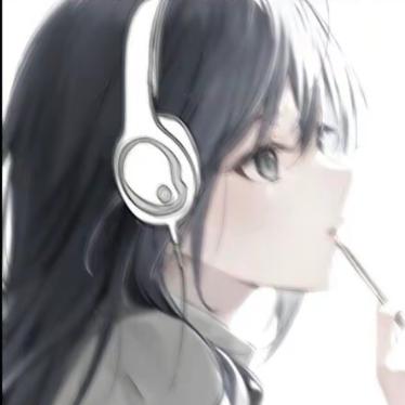 Z译