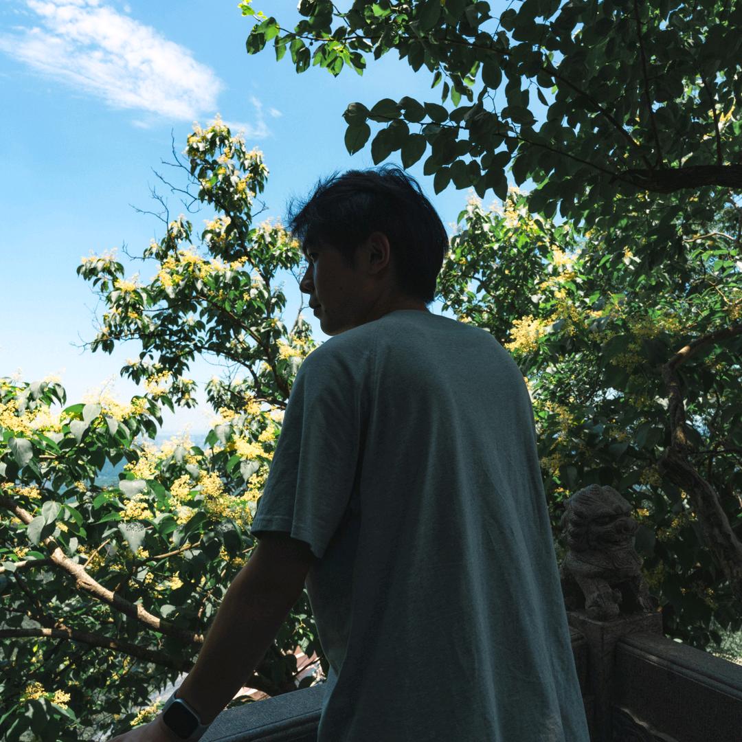 三文鱼鱼鱼（无畏契约）