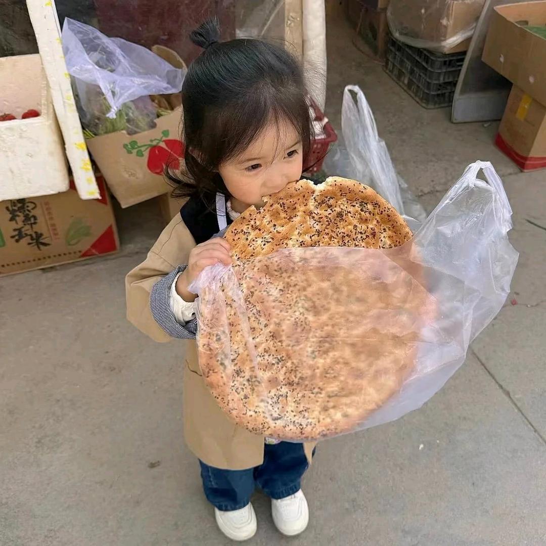 呆鱼🐟