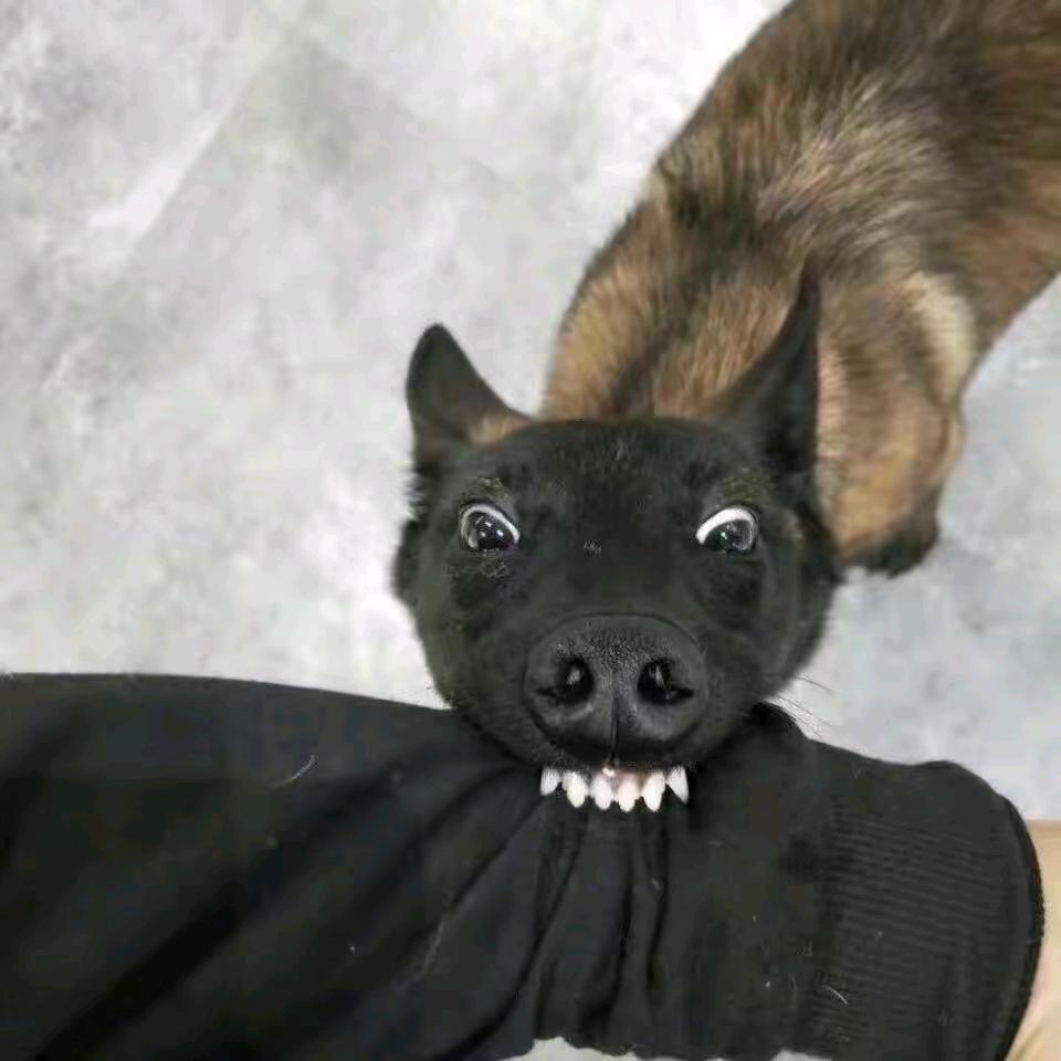 🌈猛戳独眼龙那只好眼🌈