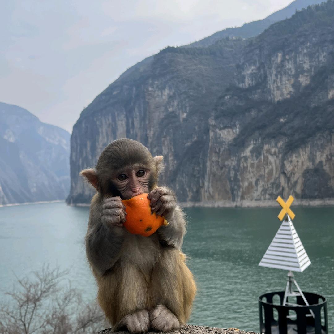 ღ᭄多财多亿࿐້