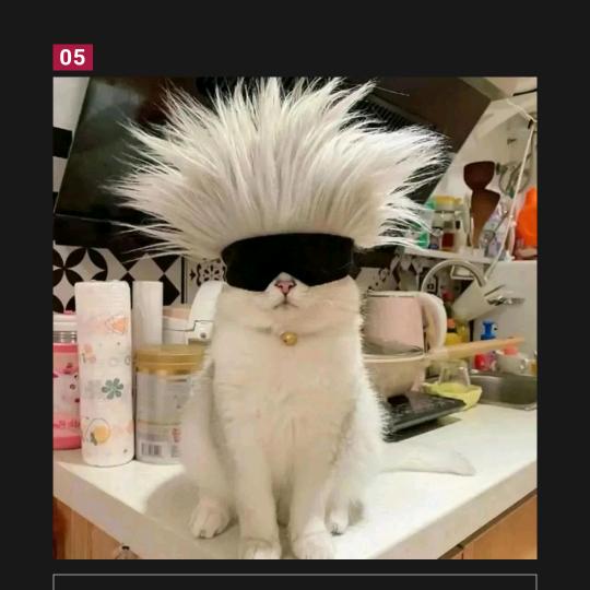 小安（绝密双沪）