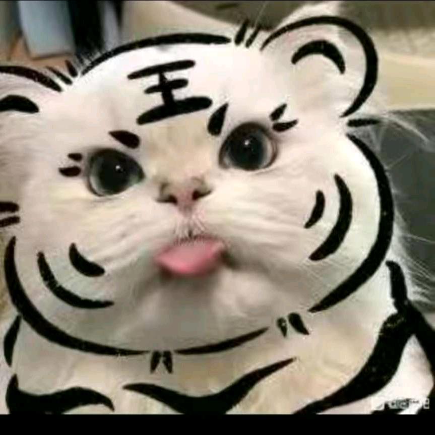 🐯