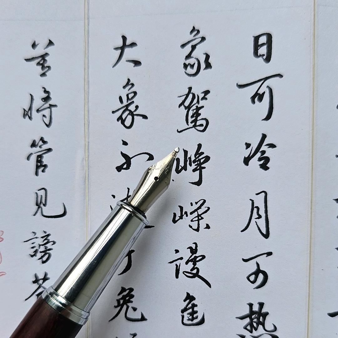 向心而归