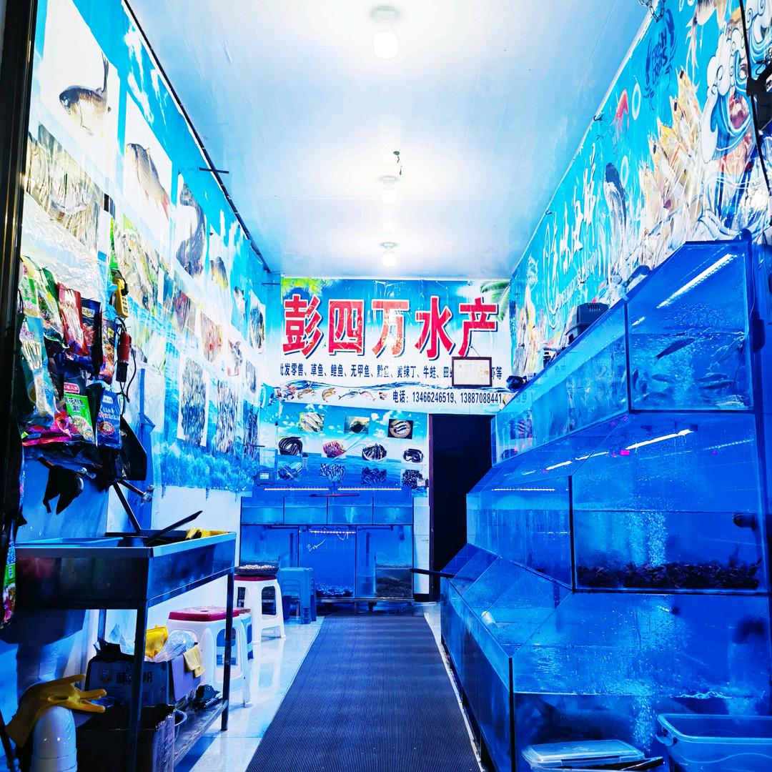 全美