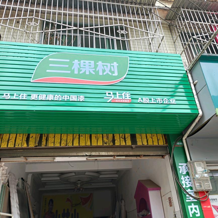 安岳镇子三颗树装饰部