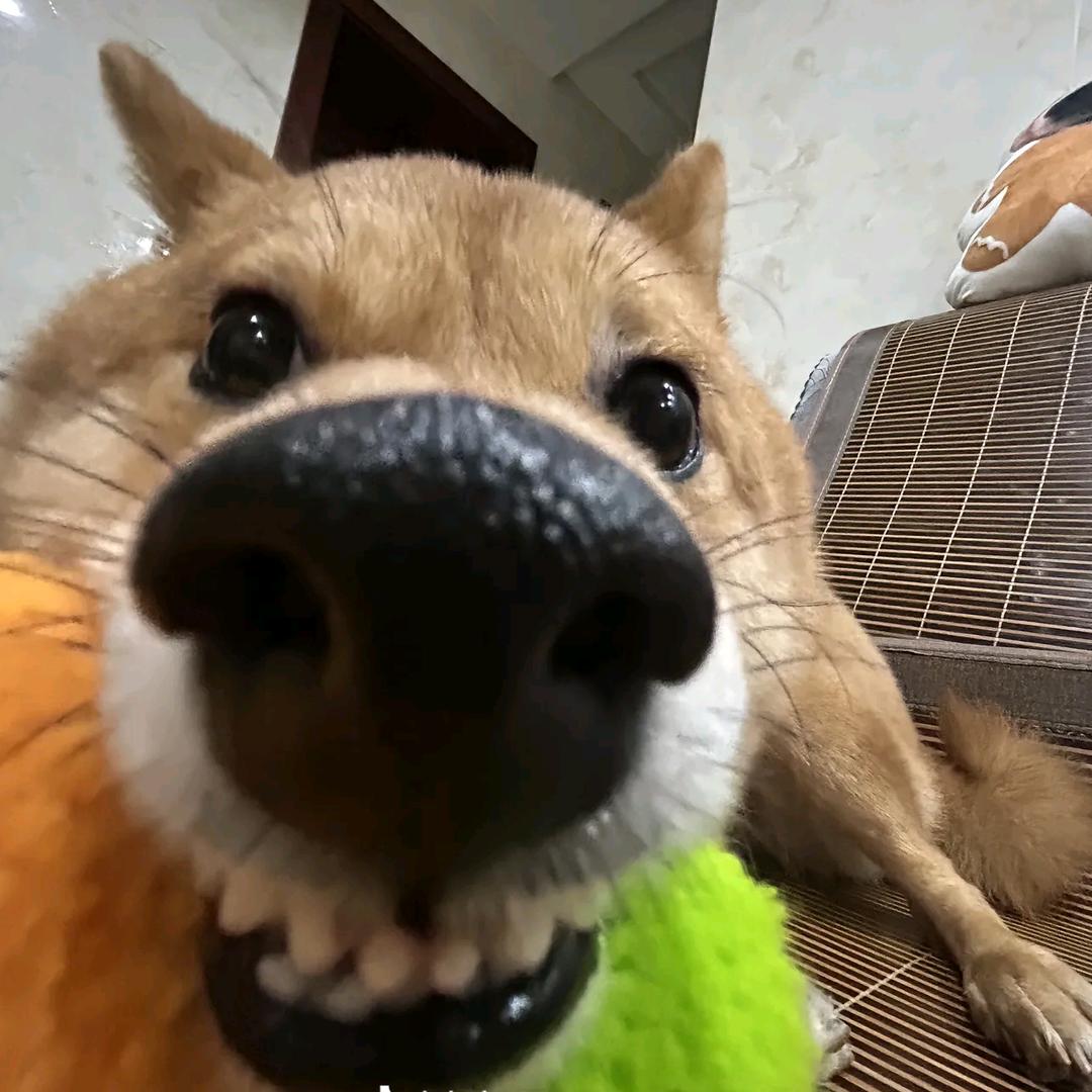 窃好