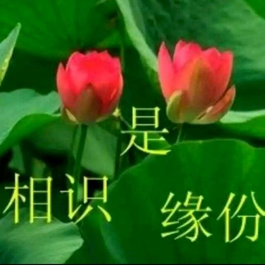 🌙相识是缘✨