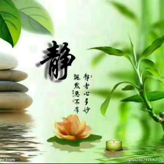 @招财进宝4