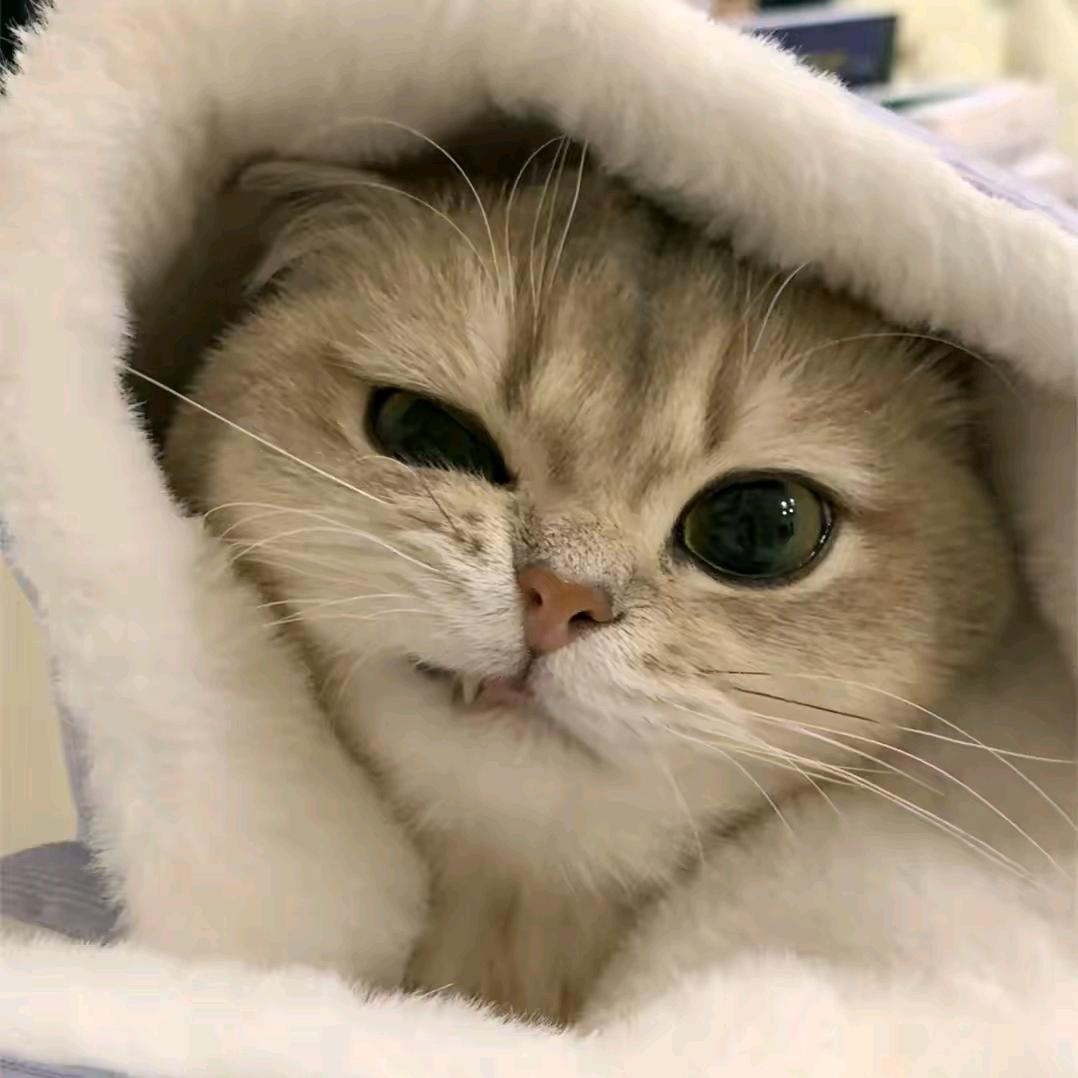 再快 1 秒