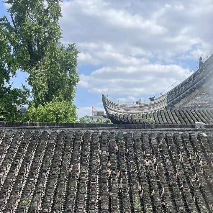 云端遗梦录