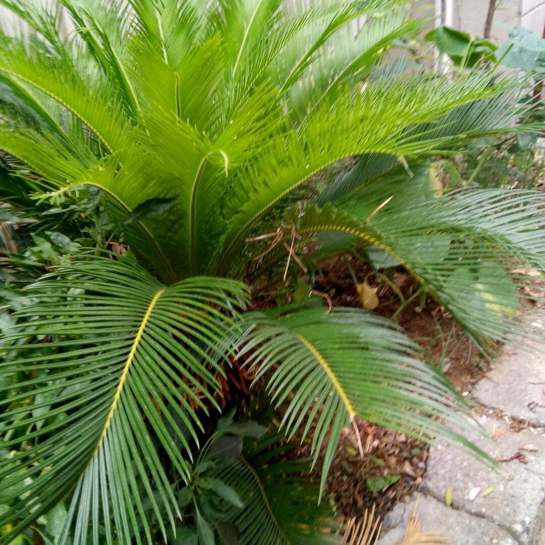 伊伊(拒私聊……请勿连赞)