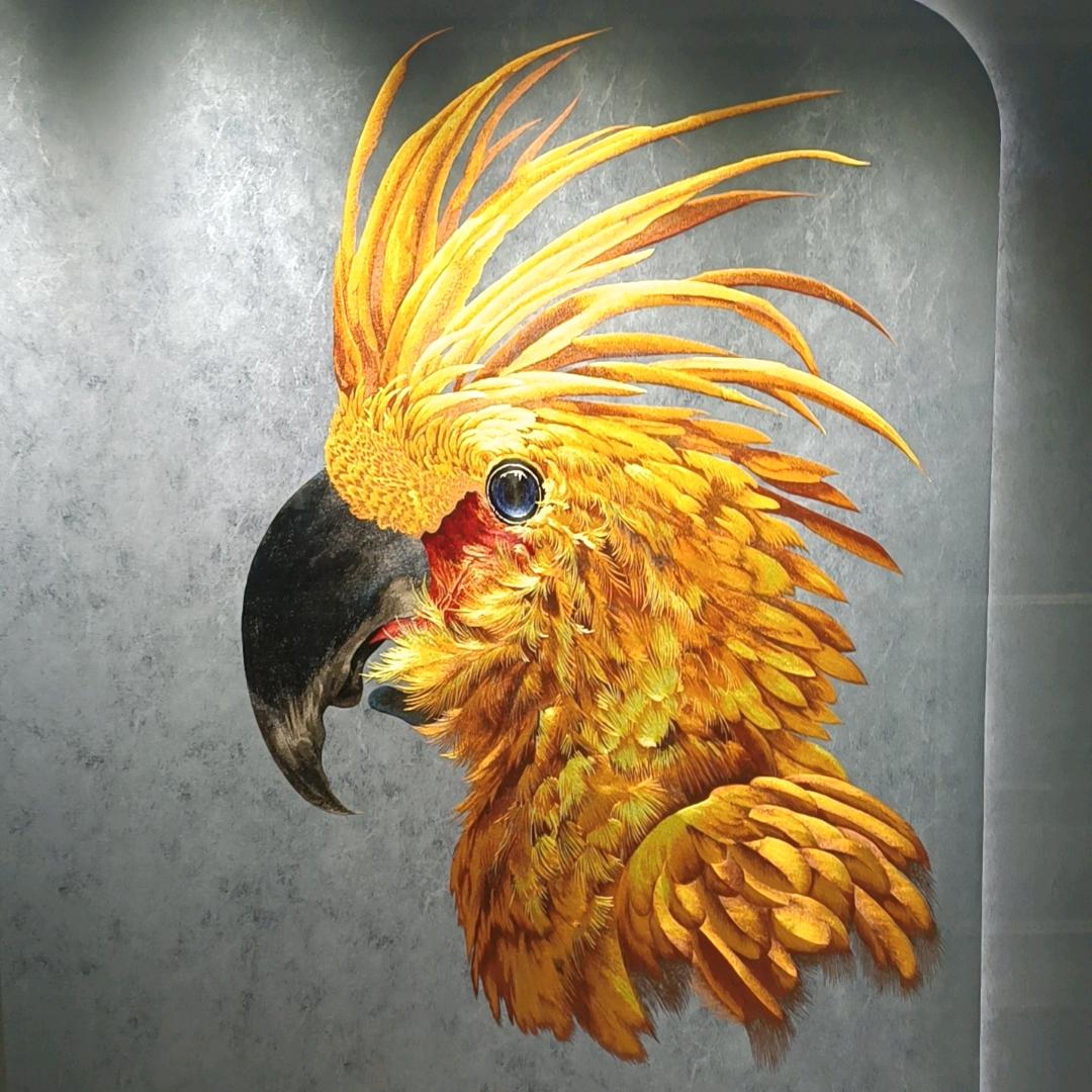 好运连连窗帘
