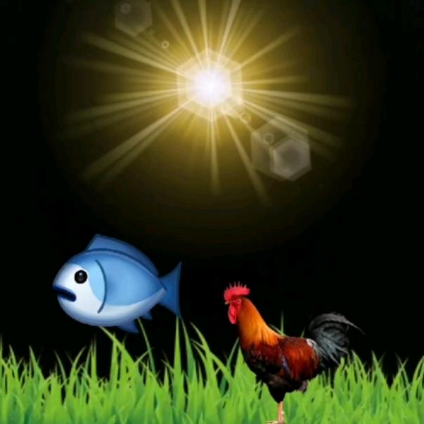 郑达伟和金小芳