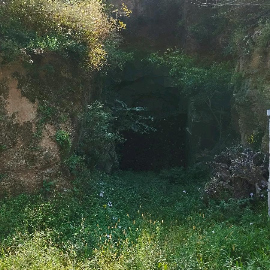 鲜衣怒马