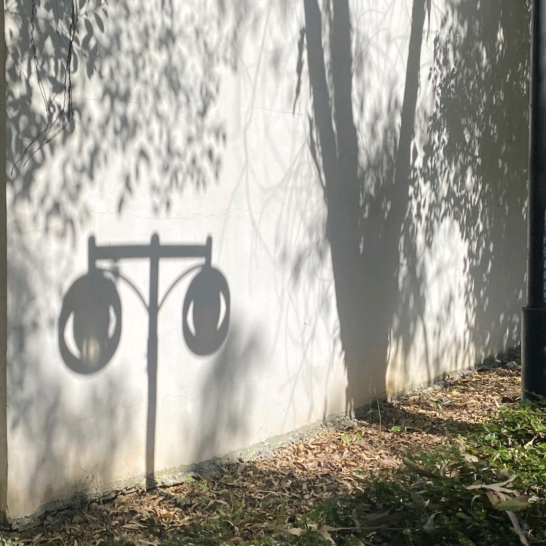 简寻