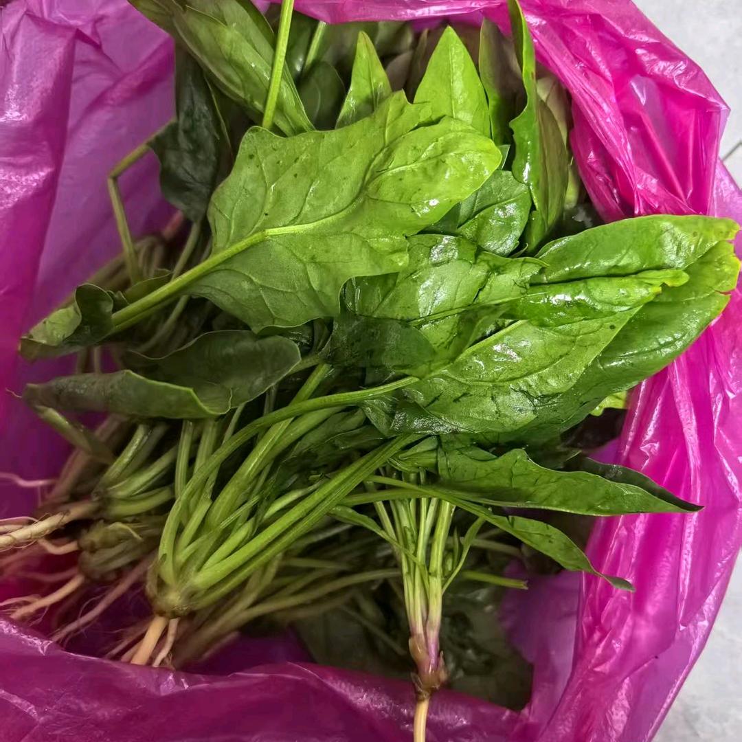 微笑宾阳👍用户806954281631
