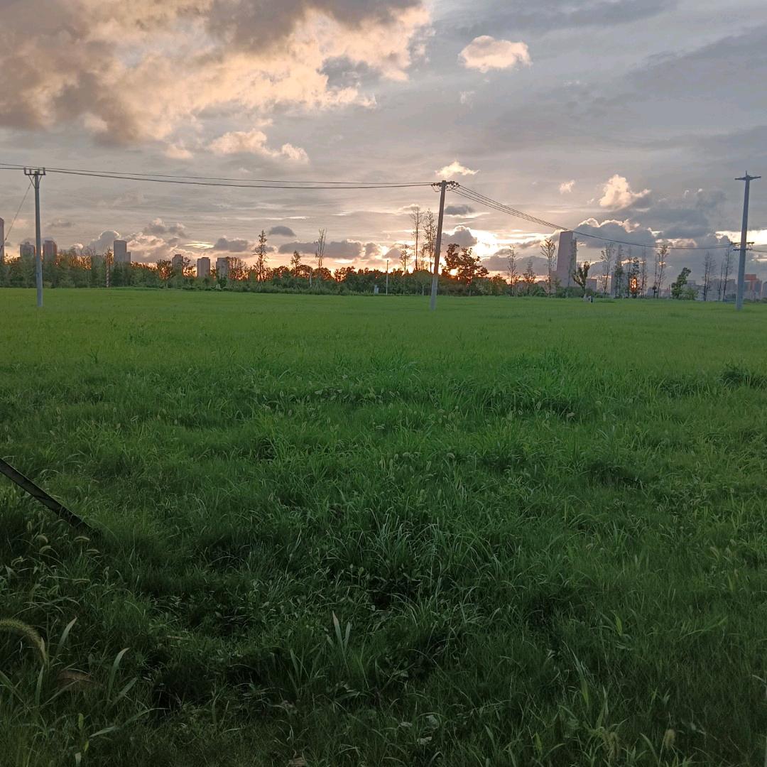 一颗汤圆