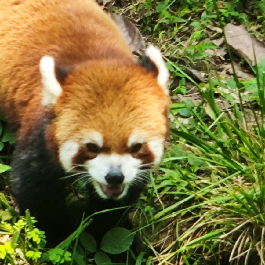 新时代