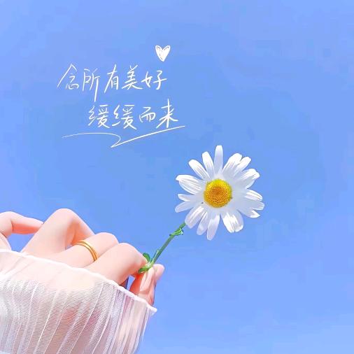 淼儿.