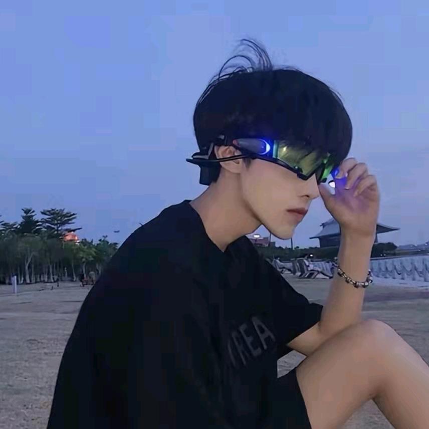 理想
