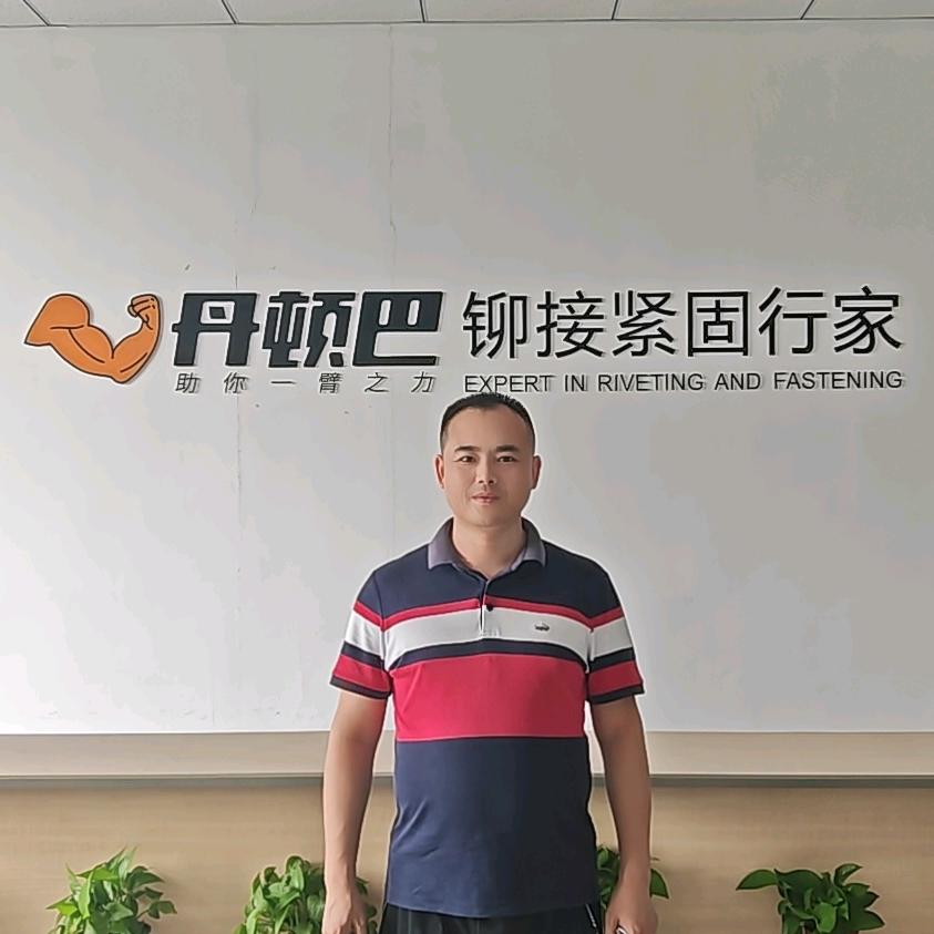 丹顿巴江博-伺服旋铆机-压机及自动化