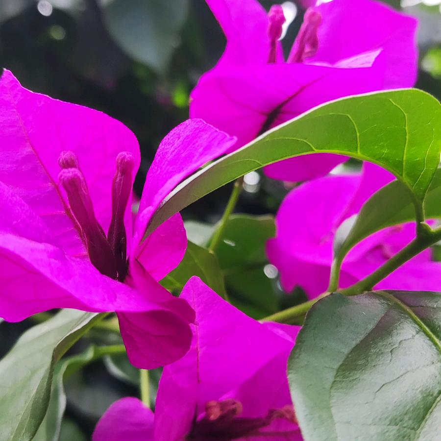 苦不怕苦累不怕累