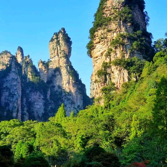 地理大师