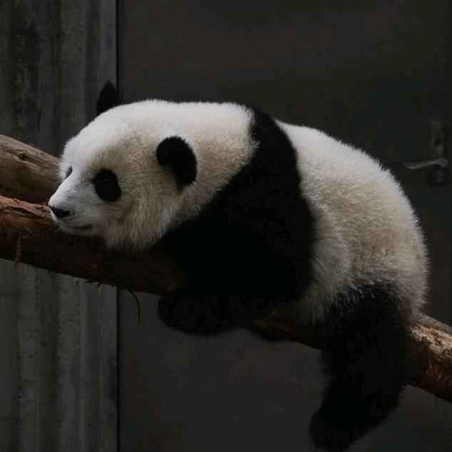 英国宫五期公共服务站