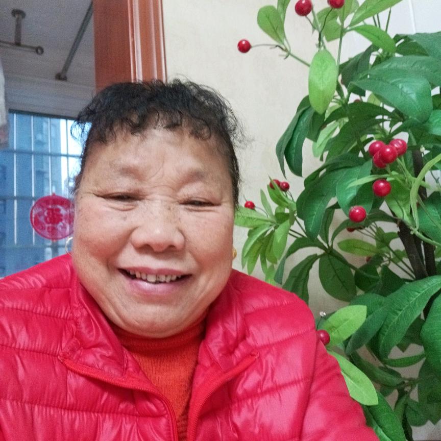 开心不老（晚上7：20开播）