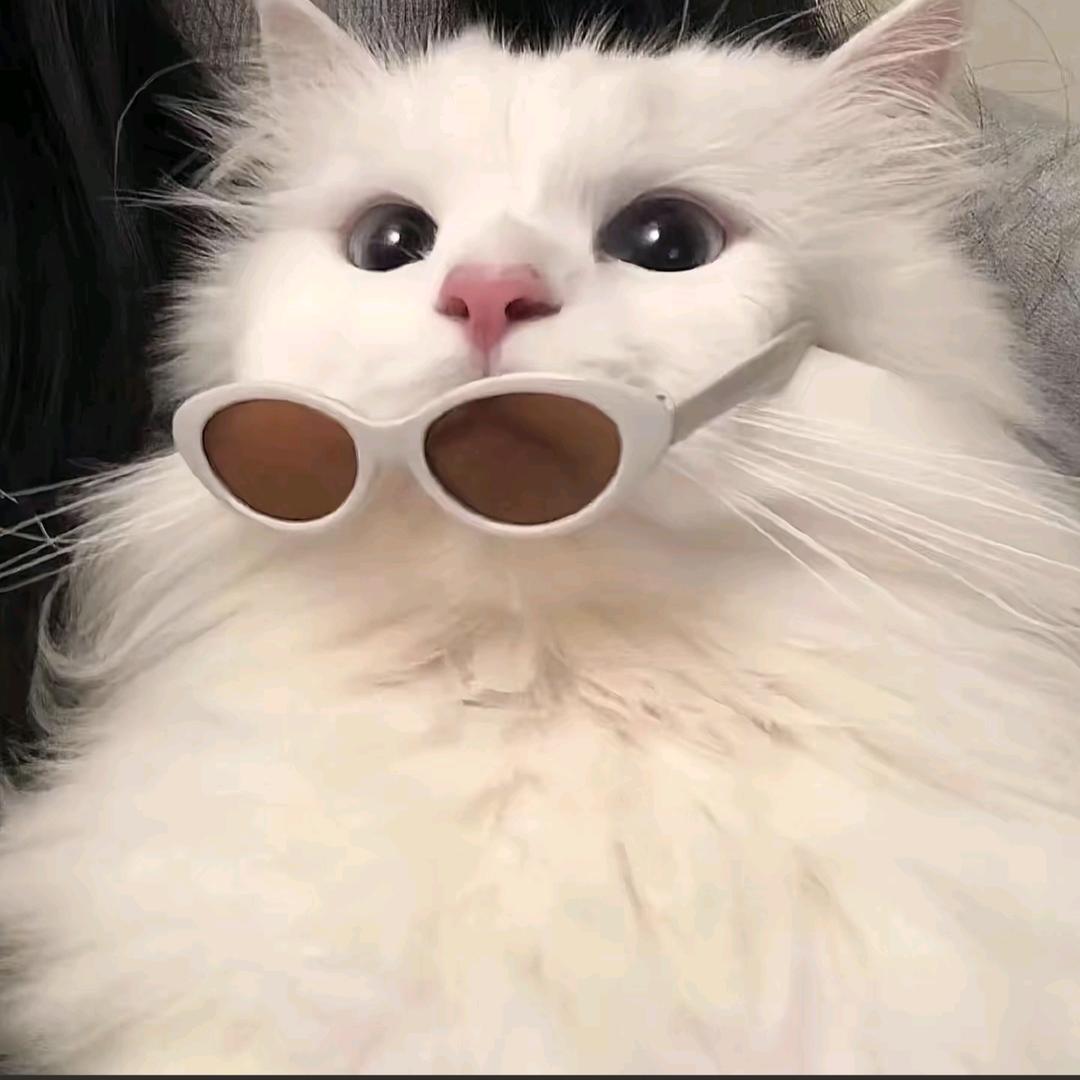 🍋