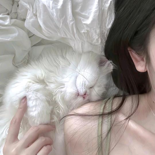 ①只་笨་猪★