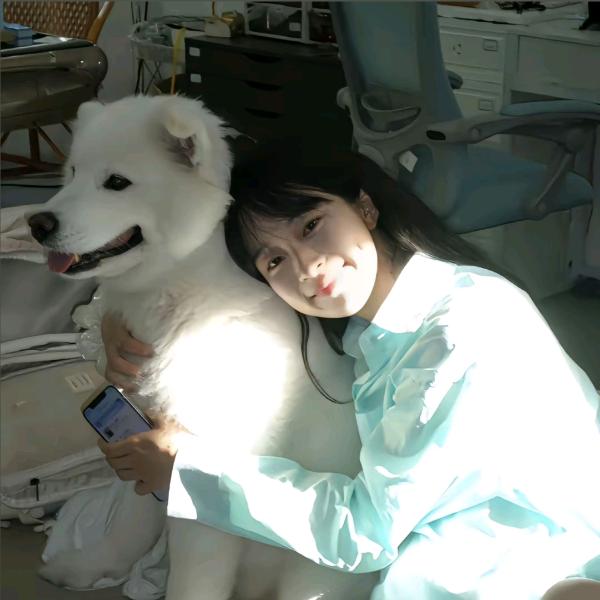 说好不哭