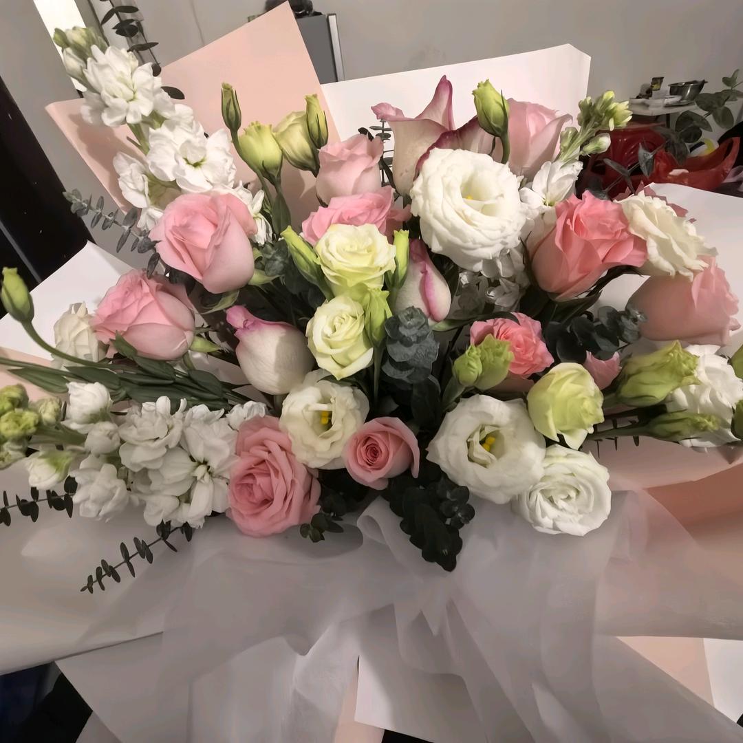 凤宝宝我又回来啦🌈🌈🌈