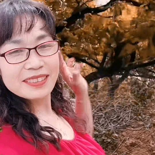 汪汪顺