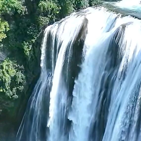 彼岸依旧《涅槃重生》