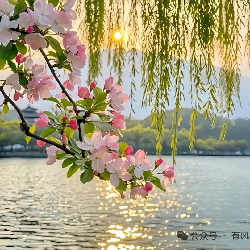 开心就好😀