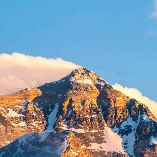 邵正红帅哥🐕🌹🐕